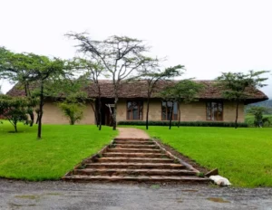 cottages, timau