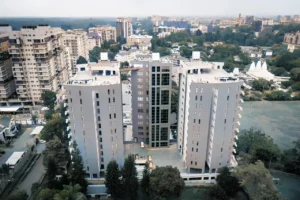 tree wall apartments
